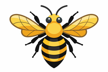 cute bee vector art work and illustration