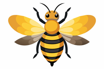 cute bee vector art work and illustration