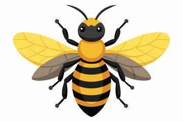 Fototapeta premium cute bee vector art work and illustration