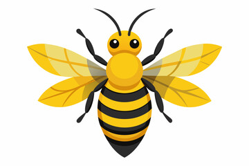 cute bee vector art work and illustration