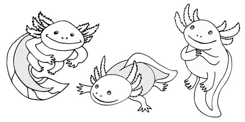 axolotl set of vector images colorig page