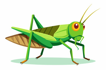 grasshopper vector art work and illustration,