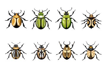 Beetle  bundle vector artwork and illustration