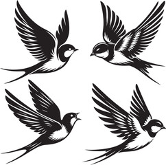 A beautiful bird Swallow vector silhouette image