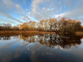 reflection of trees in the water