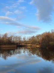 Fototapeta premium autumn trees reflected in water