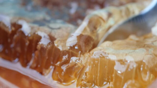 close up of fresh honey with comp in a jar 