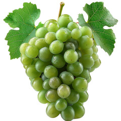 Obraz premium Fresh green grapes with leaves isolated on white background.