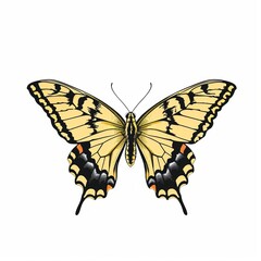 Fototapeta premium Artistic illustration of beautiful butterfly