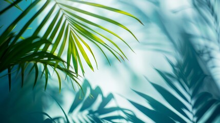 Tropical palm shadows on a light turquoise background, serene and tranquil atmosphere