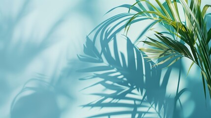 Tropical palm shadows on a light turquoise background, serene and tranquil atmosphere