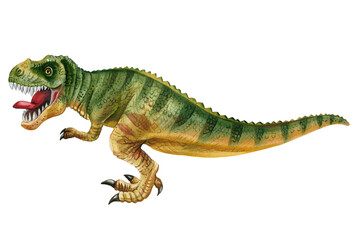 Fototapeta premium Dinosaur isolated on white background. Hand painted watercolor dinosaurs illustration, T-Rex tyrannosaur realistic