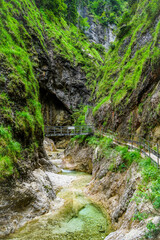 waterfall in the forest