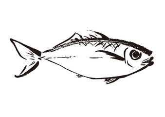 鯵の手描き和風イラスト和風素材