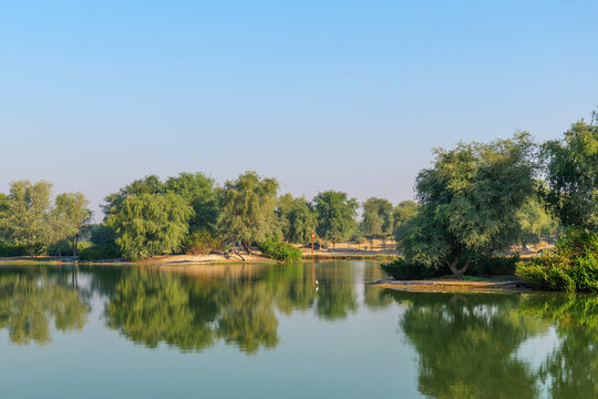 popular place for recreation and picnics Al Qudra Lake, Dubai, UAE