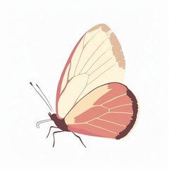 Obraz premium Artistic illustration of beautiful butterfly