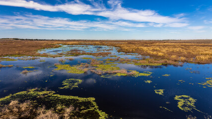 Sunny day at the Brazos Bend State Park