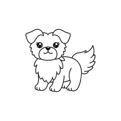 logo and vector design 