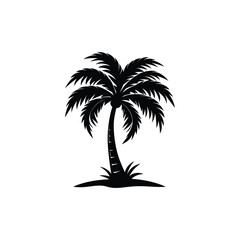 Obraz premium palm tree silhouette