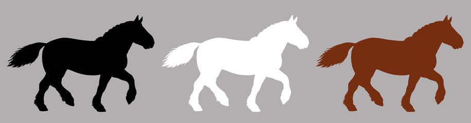Black, white and brown silhouette of the draft horse. Equine drawing.