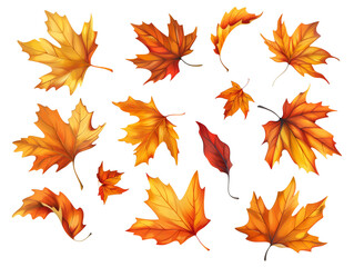 Fototapeta premium Vector clip art. A set of individual autumn leaves, creating a sense of movement and wind