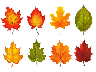 Fototapeta premium Vibrant Fall Leaves. Vector clip art