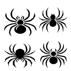 spider silhouette on white background