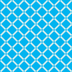 Fototapeta premium seamless pattern