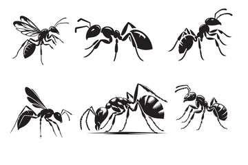 an ant silhouette vector 