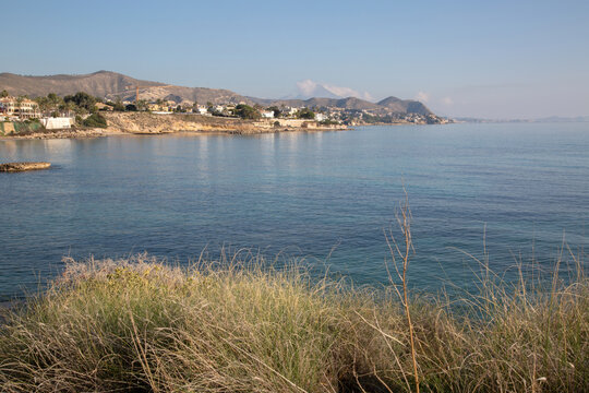 Cliff and Grass near Almadrava Beach; El Campello; Alicante; Spain