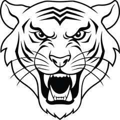 head of tiger isolated on white background eps 10