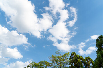 夏の青空と白い雲