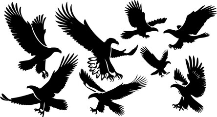 Obraz premium Silhouettes of Sea Eagle Birds of Prey Illustrations