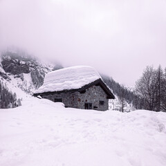 old shed covered in snow