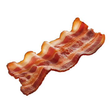 Becon isolated on white background
