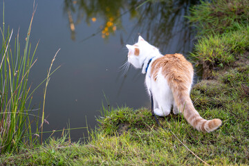 Morvan Naturpark in Frankreich