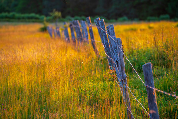 Morvan Naturpark in Frankreich