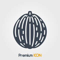 Spaghetti squash Icon