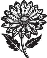 black and white flower silhouette illustration