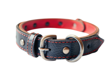 Training Collar Essentials