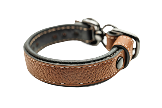 Canine Command Gear
