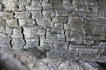 Obraz premium A pile of charcoal and firewood on a campfire.