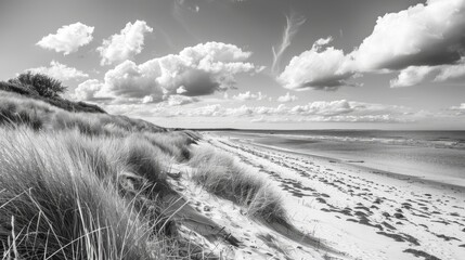A beach on a breezy day in monochrome