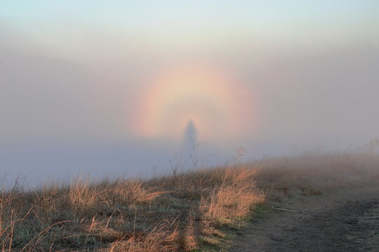 Brocken Spectre surrounded by a rainbow appears above the fog on a winter morning in the hills of California