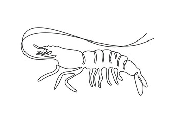 Continuous one line drawing of fresh shrimp for seafood logo icon vector illustration. Pro vector