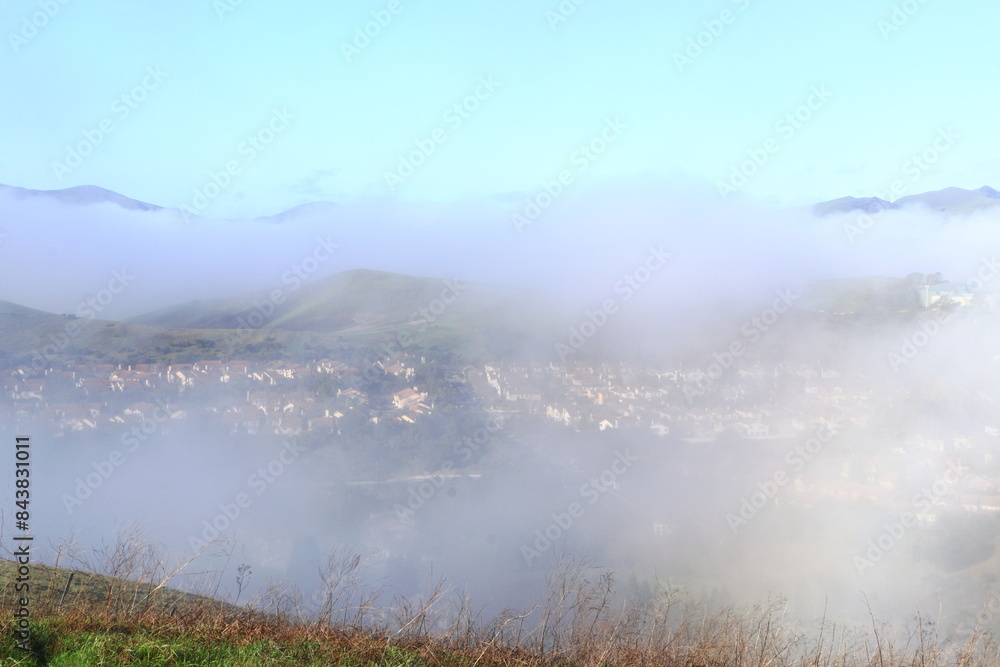 Wall mural fogbow on a winter morning in the hills above san ramon valley, california