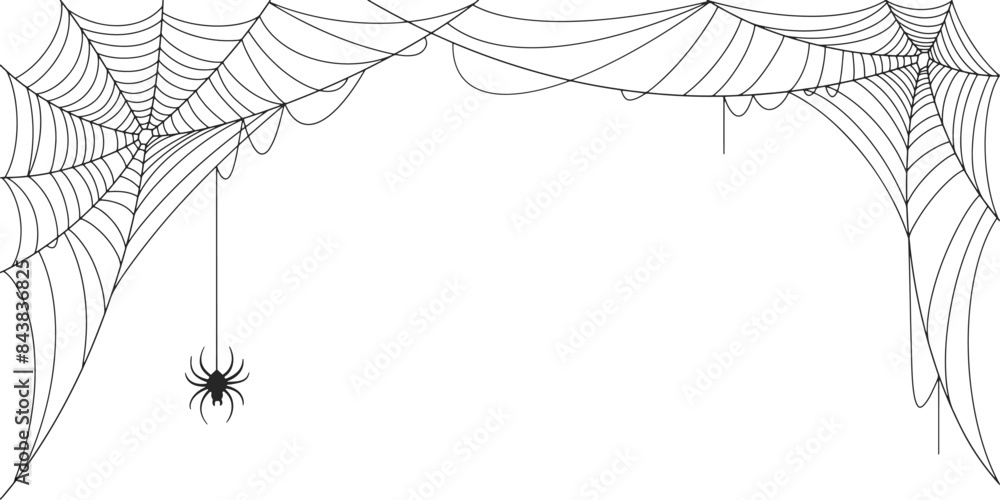 Wall mural spider web vector illustration