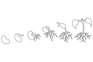 Plant growing continuous one line art drawing of tree plant outline vector illustration

