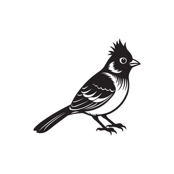 recommend clip art: Bird vector line art and  illustration