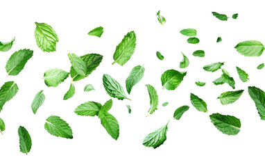 Whimsical Green Mint Leaves in Flight
